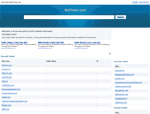 Tablet Screenshot of netfisher.com